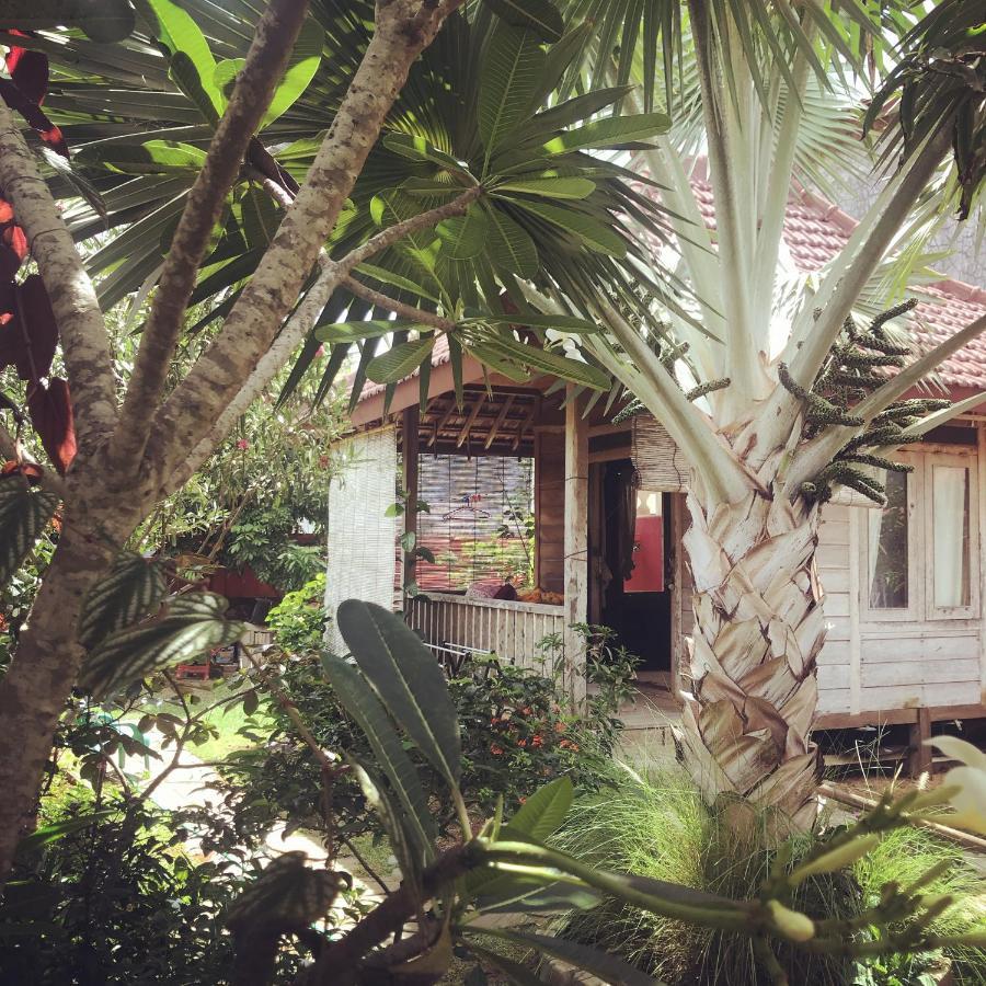 Appartement Harry'S Ocean House Pacitan Extérieur photo